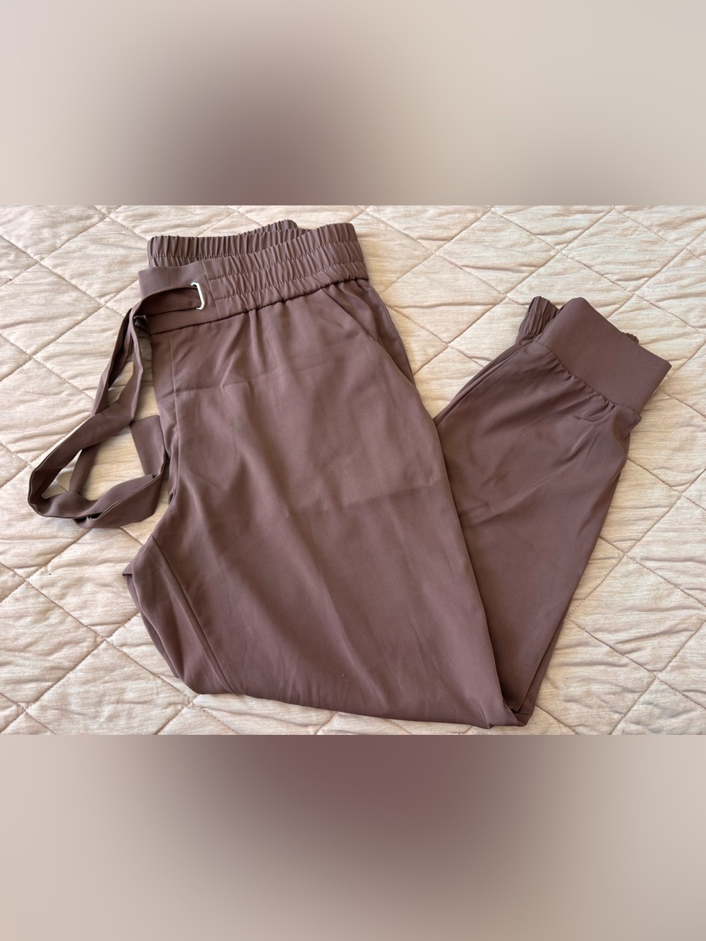 Dynamite Relaxed Waist Dress Pants in Rustic Pink